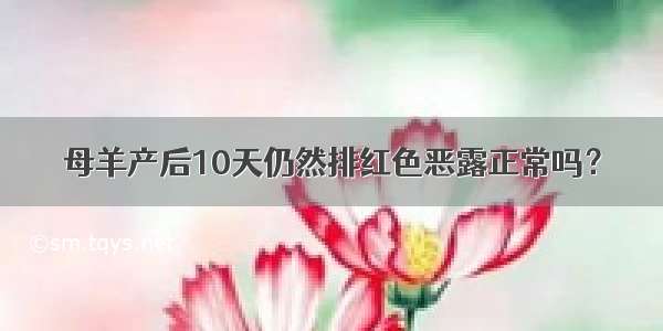 母羊产后10天仍然排红色恶露正常吗？