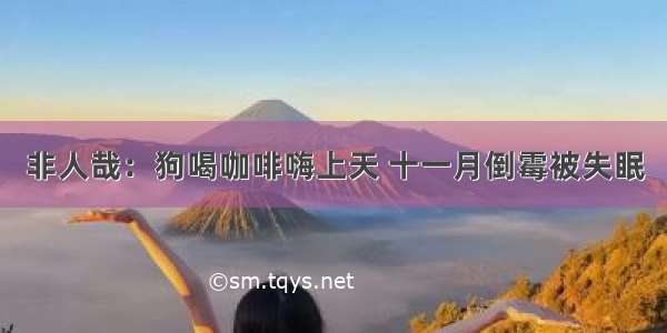 非人哉：狗喝咖啡嗨上天 十一月倒霉被失眠