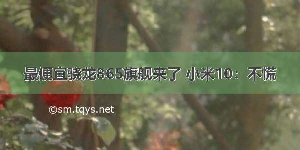 最便宜骁龙865旗舰来了 小米10：不慌