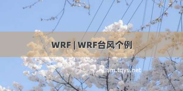 WRF | WRF台风个例