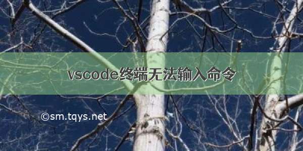 vscode终端无法输入命令