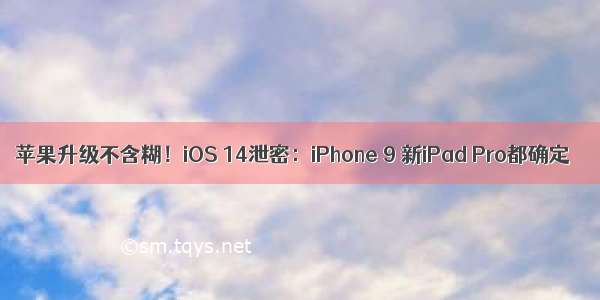 苹果升级不含糊！iOS 14泄密：iPhone 9 新iPad Pro都确定