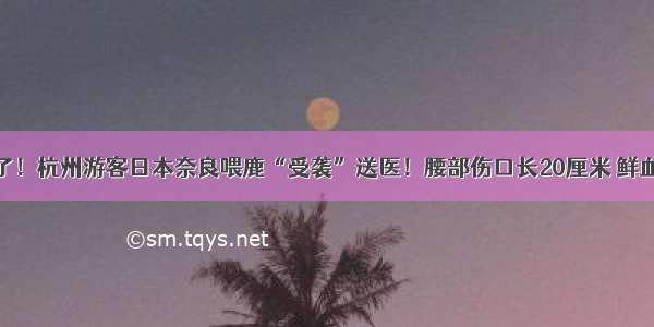 太凶了！杭州游客日本奈良喂鹿“受袭”送医！腰部伤口长20厘米 鲜血直流