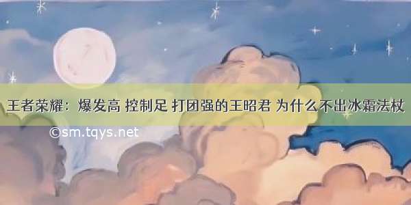 王者荣耀：爆发高 控制足 打团强的王昭君 为什么不出冰霜法杖