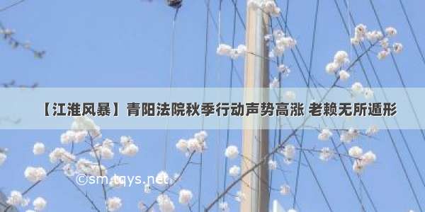 【江淮风暴】青阳法院秋季行动声势高涨 老赖无所遁形