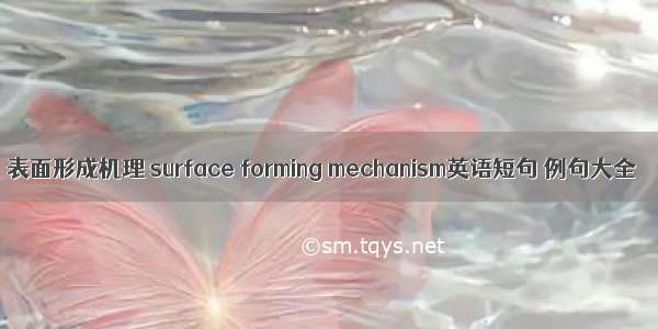 表面形成机理 surface forming mechanism英语短句 例句大全