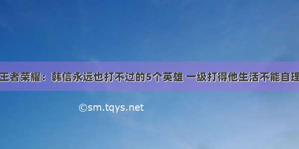 王者荣耀：韩信永远也打不过的5个英雄 一级打得他生活不能自理