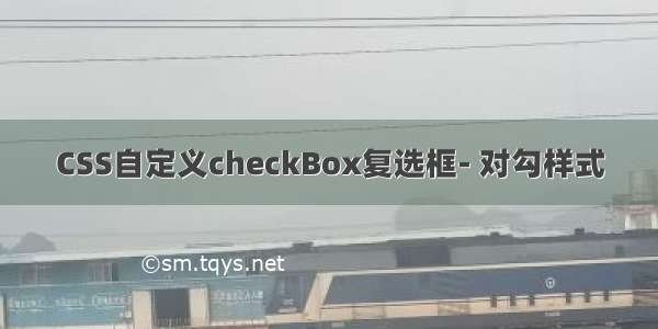 CSS自定义checkBox复选框- 对勾样式