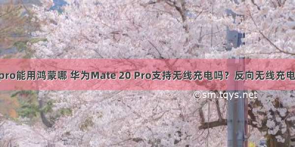 华为mate20pro能用鸿蒙哪 华为Mate 20 Pro支持无线充电吗？反向无线充电有什么用？...