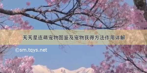 天天星连萌宠物图鉴及宠物获得方法作用详解