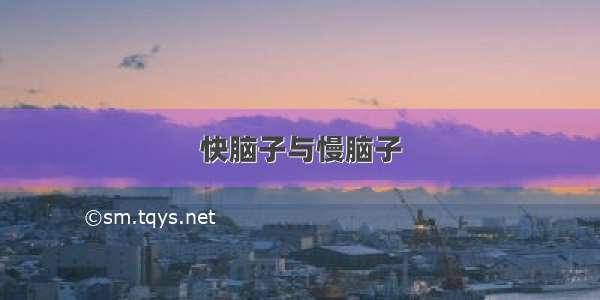 快脑子与慢脑子