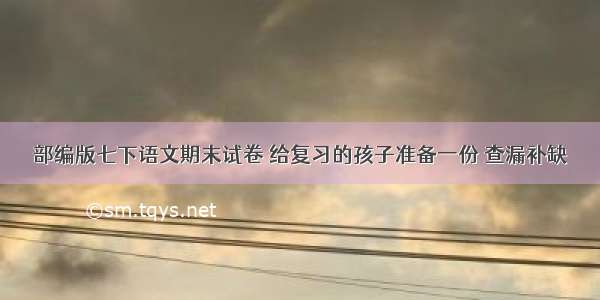 部编版七下语文期末试卷 给复习的孩子准备一份 查漏补缺