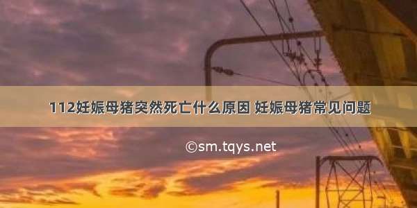 112妊娠母猪突然死亡什么原因 妊娠母猪常见问题