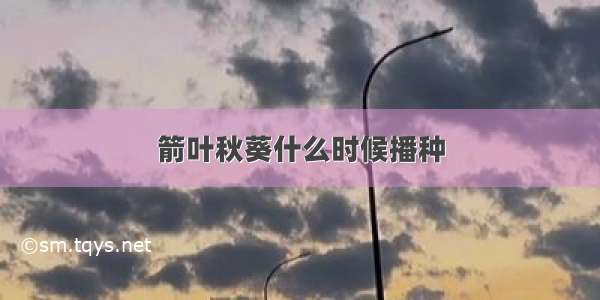 箭叶秋葵什么时候播种