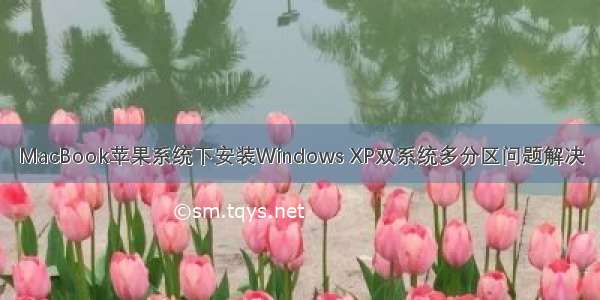 MacBook苹果系统下安装Windows XP双系统多分区问题解决