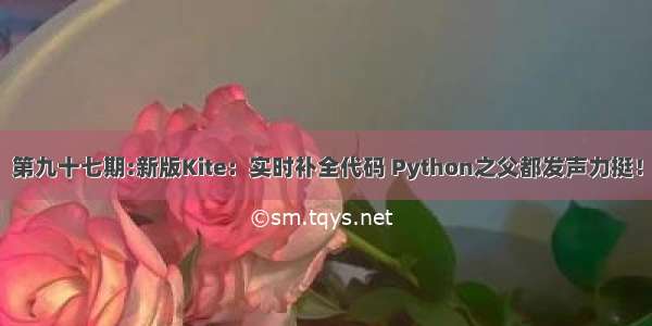 第九十七期:新版Kite：实时补全代码 Python之父都发声力挺！