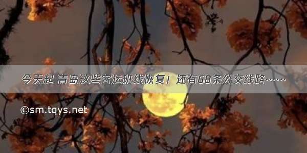 今天起 青岛这些客运班线恢复！还有68条公交线路……