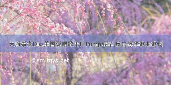 天府事变Diss美国说唱歌手lil Pump辱华 反击辱华歌曲歌词