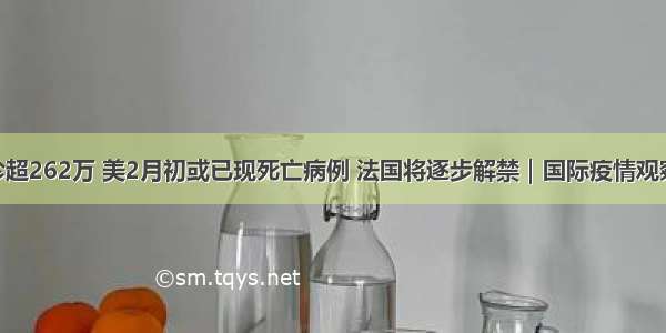 全球累计确诊超262万 美2月初或已现死亡病例 法国将逐步解禁｜国际疫情观察（4月23日）