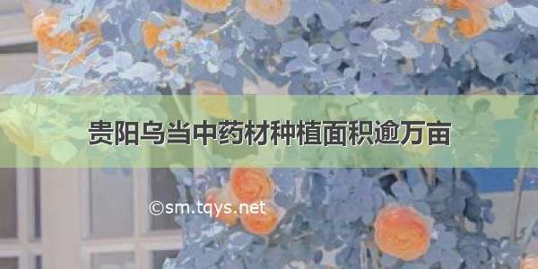 贵阳乌当中药材种植面积逾万亩