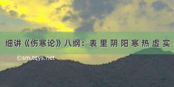 细讲《伤寒论》八纲：表 里 阴 阳 寒 热 虚 实