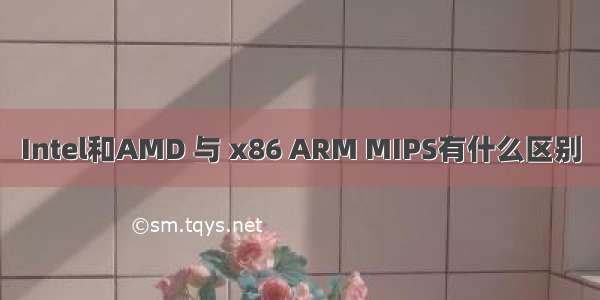 Intel和AMD 与 x86 ARM MIPS有什么区别
