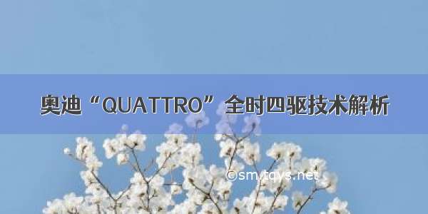 奥迪“QUATTRO”全时四驱技术解析