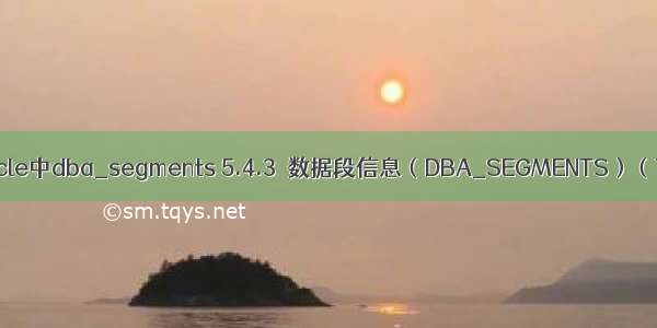 oracle中dba_segments 5.4.3  数据段信息（DBA_SEGMENTS）（7）