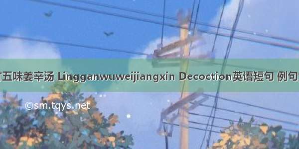 苓甘五味姜辛汤 Lingganwuweijiangxin Decoction英语短句 例句大全