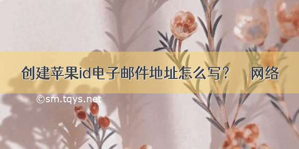 创建苹果id电子邮件地址怎么写？ – 网络