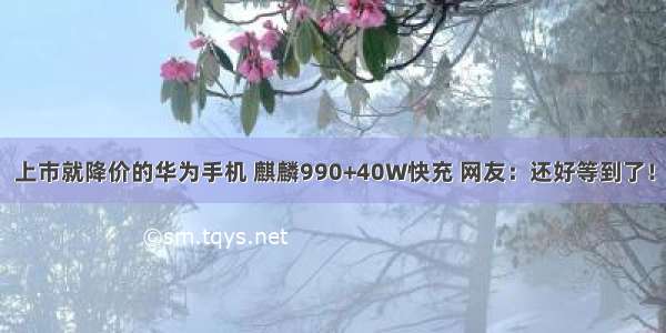 上市就降价的华为手机 麒麟990+40W快充 网友：还好等到了！