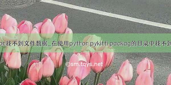 python找不到文件数据_在使用python pykitti packag的目录中找不到文件