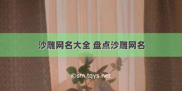 沙雕网名大全 盘点沙雕网名