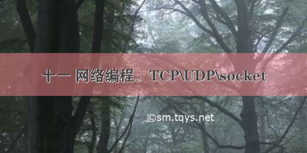 十一 网络编程。TCP\UDP\socket