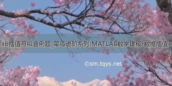 matlab插值与拟合例题_菜鸟进阶系列:MATLAB数学建模·数据插值与拟合