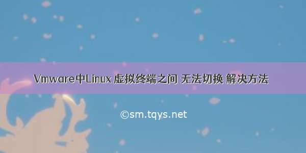 Vmware中Linux 虚拟终端之间 无法切换 解决方法