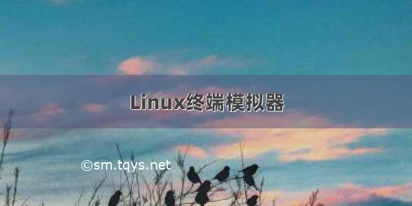 Linux终端模拟器