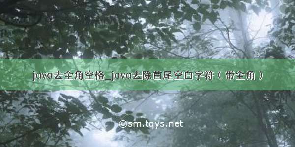 java去全角空格_java去除首尾空白字符（带全角）