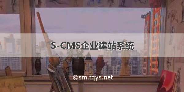 S-CMS企业建站系统