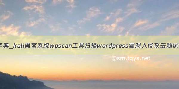 kali字典_kali黑客系统wpscan工具扫描wordpress漏洞入侵攻击测试教程