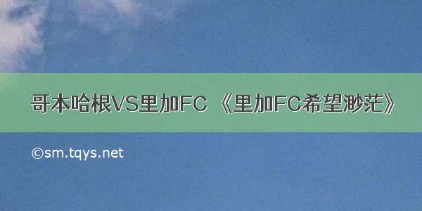 哥本哈根VS里加FC 《里加FC希望渺茫》