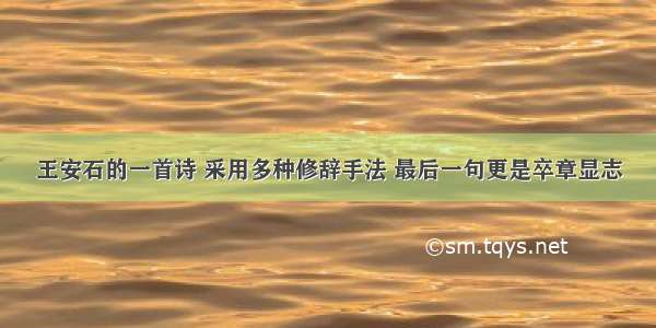 王安石的一首诗 采用多种修辞手法 最后一句更是卒章显志