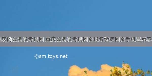 重庆的公务员考试网 重庆公务员考试网页报名缴费网页手机显示不全