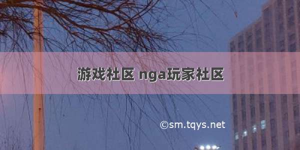 游戏社区 nga玩家社区