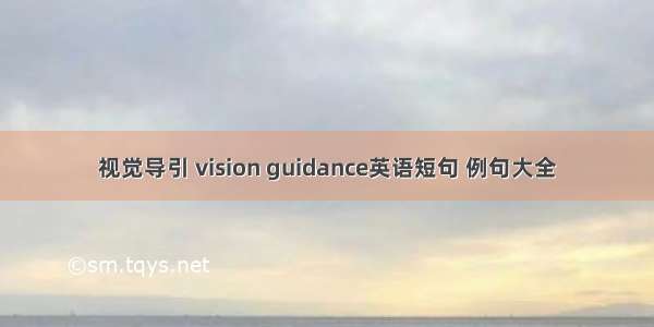 视觉导引 vision guidance英语短句 例句大全