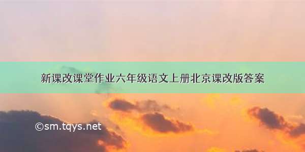 新课改课堂作业六年级语文上册北京课改版答案