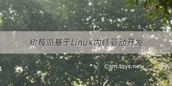 树莓派基于Linux内核驱动开发