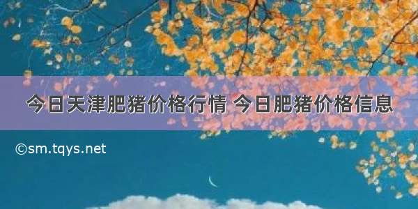 今日天津肥猪价格行情 今日肥猪价格信息