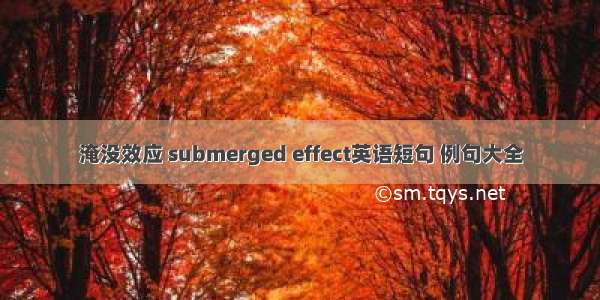 淹没效应 submerged effect英语短句 例句大全