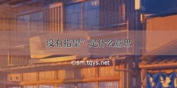 没有指望”是什么意思